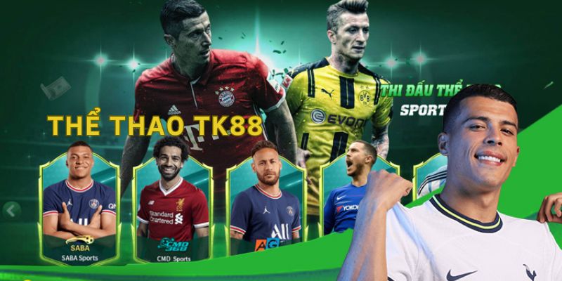 Thể thao cá độ tại TK88 trên thị trường